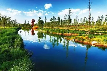 西安沣河湿地公园好玩吗