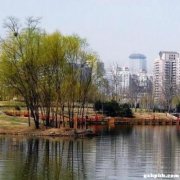 北京朝阳公园游乐项目