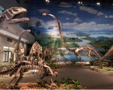 自贡恐龙博物馆门票多少钱一张
